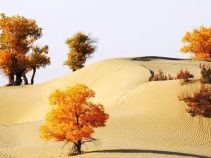 دیدنیهای جهان + تصاویر