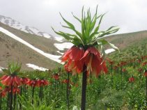 جاهای دیدنی چهار محال و بختیاری