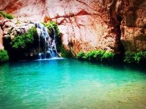 زیباترین در