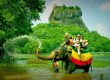 پارک ملی یالا سریلانکا ، حاکمیت حیوانات بر روی زمین