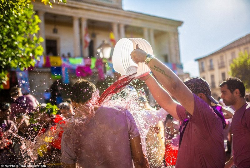 فستیوال واین فایت سن وینو ، جنگ پر جنب‌و‌جوش برای شادی در اسپانیا