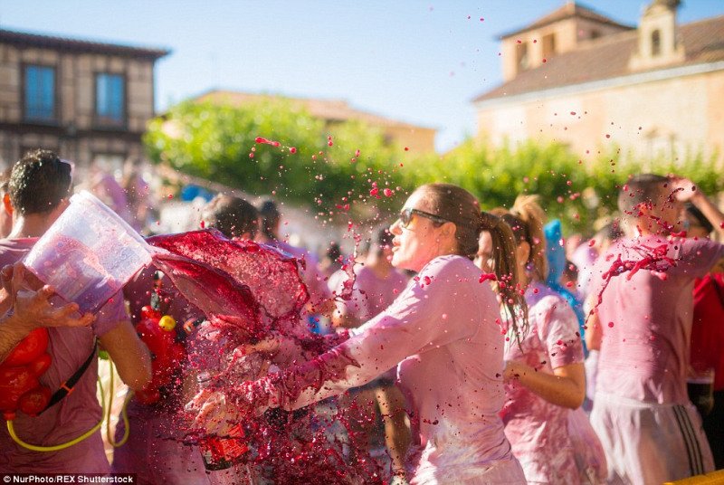 فستیوال واین فایت سن وینو ، جنگ پر جنب‌و‌جوش برای شادی در اسپانیا