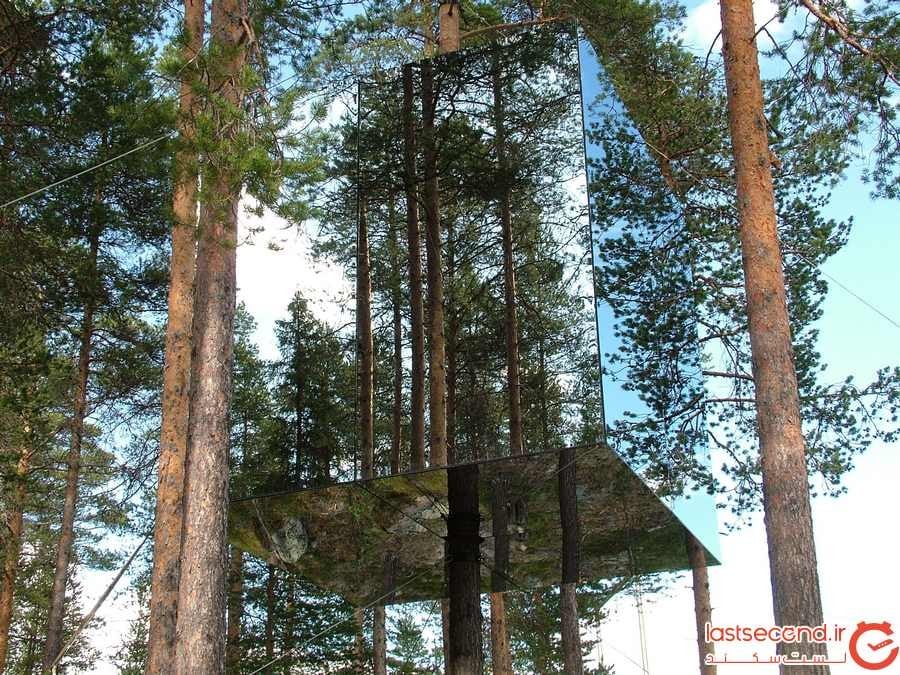 هتل درختی با دیوارهای شیشه ای در لپلند سوئد