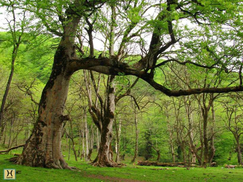 پارک جنگلی جوارم ، منطقه نمونه گردشگری در مازندران