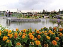 باغ گلها مشهد ، یکی از زیبا ترین باغ‌ گل ها ایران