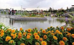باغ گلها مشهد ، یکی از زیبا ترین باغ‌ گل ها ایران