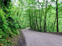 جاهای دیدنی بابل