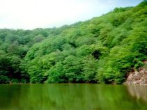 جاهای دیدنی دلیجان ، شهری با آب و هوای خشک