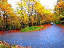 جاهای دیدنی رشت ، یکی از کلان‌شهرهای ایران