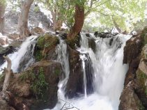 جاهای دیدنی لردگان ، شهر دیدنی و توریستی چهارمحل و بختیاری