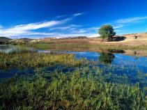 جاهای دیدنی کازرون ، نگین استان فارس