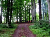 چمستان ، جاهای دیدنی چمستان نور