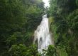 آبشار لوه ، آبشار در جنگلی انبوه با درختان پهن برگ