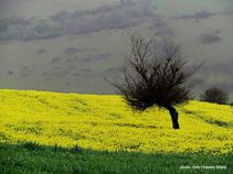 اسطلخ جان ، روستای جلگه ای کوهپایه ای گیلان