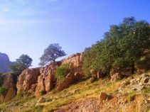تنگ ماغر ، آب و هوای بسیار مطبوع و معتدل