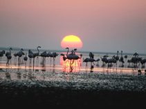 جاهای دیدنی استان قرشهیر در ترکیه