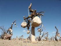 جاهای دیدنی سیرجان ، اراضی حاصلخيز و منابع معدنی و آثار تاریخی فراوان