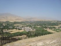 جنگل گلدشت ،