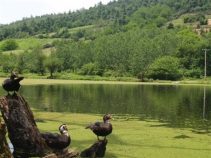 روستای حلیمه جان ،  قدمت چند هزار ساله و جاذبه های متنوع طبیعی