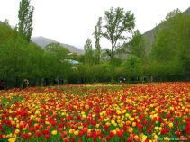 روستای گرماب ، باغ گل و جاهای دیدنی گرماب