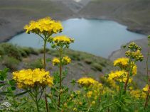چشمه سبز گلمکان ، دریاچه چشمه سبز در خراسان رضوی