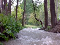 گلمکان مشهد ، منطقه‌ کوهستانی و سردسیر