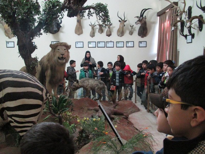 موزه حیات وحش