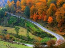 جاهای دیدنی سوادکوه مازندران