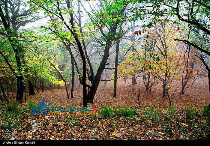 جاهای دیدنی استان گلستان در فصل پاییز