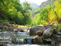 جاهای دیدنی استان گلستان در بهار