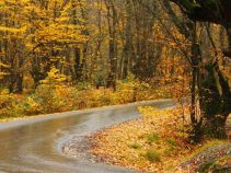 جاهای دیدنی استان گلستان در فصل پاییز