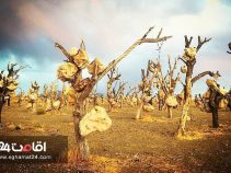 باغ سنگی در سیرجان اثر درویش خان