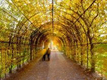 جاهای دیدنی استراسبورگ فرانسه