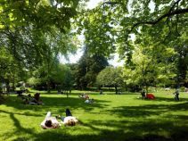 جاهای دیدنی تولوز فرانسه