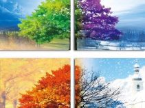 جاهای دیدنی هیوستون