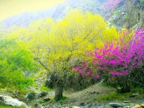 دره ارغوان مشهد ، جاهای دیدنی طرقبه مشهد