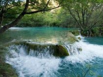 رودخانه کرج چالوس ، جاذبه های طبیعی کرج