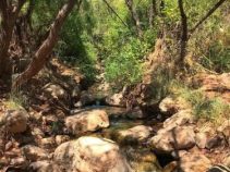 روستای ابدال آباد تربت جام