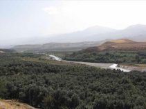 قزل اوزن زنجان ، رودخانه قزل اوزن مهمترین رودخانه زنجان