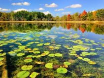 جاهای دیدنی بندر انزلی ، یکی از بزرگترین بنادر کشور