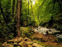جاهای دیدنی شمال ، دیدنی های بکر شمال ایران
