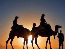 جاهای دیدنی یزد ،‌ ترین های ایران