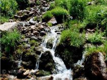 بهترین جاهای دیدنی لاسم