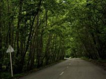 بهترین جاهای دیدنی محمود آباد مازندران