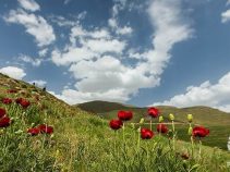 جاهای دیدنی لاریجان