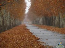 بهترین جاهای دیدنی فردیس کرج