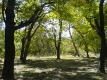جاهای دیدنی قنوات قم