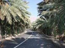 آب پخش بوشهر را بیشتر بشناسید
