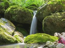جاهای دیدنی آزادشهر | مناطق بکر و دیدنی آزادشهر در استان گلستان