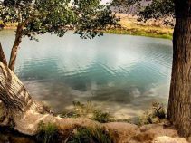 بهترین جاهای دیدنی مهریز یزد| جاذبه های گردشگری تاریخی طبیعی مهریز یزد